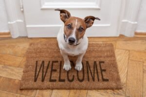 New pet puppy is welcomed to its new home.